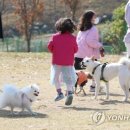 옥천동물병원 이미지