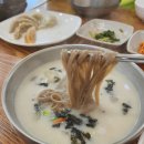 명품 옹심이메밀칼국수 티스토리