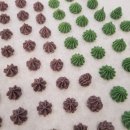 마닐마닐 수제간식 이미지