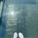 달밤포차 이미지