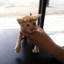 가좌종합동물병원 이미지