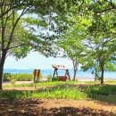 앵강 약초 공원 이미지