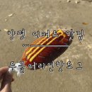 양서면 자전거 도로(두물머리길우측) | [양평 디저트 맛집] 줄 서서 먹는 핫도그 ‘두물머리연핫도그’ 주말 방문 후기.