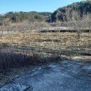 손양면사무소 이미지