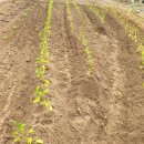 백동농장 이미지