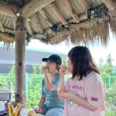 상은농장 이미지