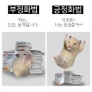 밤톨월드 네이버블로그
