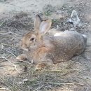 (주)청조 이미지