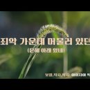 은혜아래있네 이미지