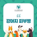 학장동물병원 이미지