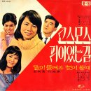 못 잊을 그대 / 최양숙 (1967) 이미지