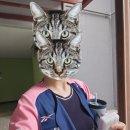 미션#1미아점 | 20250917 일상기록(1)_NC다이노스 더블헤더 1차전 우취후기