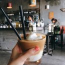 황제애견 이미지