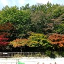 대학동-15 이미지