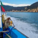 서포비치 이미지