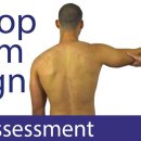 운동공간 정원 이미지