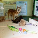 금비농장 이미지