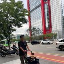 현대애견 이미지