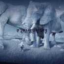 삼성온천사우나 이미지