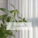 양덕동578 | 양덕동 메트로시티 2차 수입 전동 커튼 설치