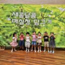 세교유치원 이미지