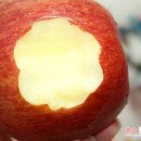 대목농장 이미지