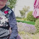 연산인제요양병원 네이버블로그