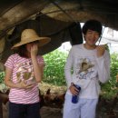 동연농장 이미지