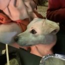 레게스트하우스 이미지