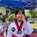 서린3태권도장 이미지