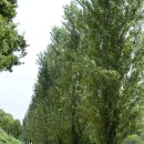 안양천 수질정화시설 공중화장실 | 서울둘레길 8코스 (장지·탄천)