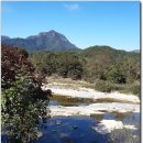 용담면사무소 이미지