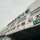 양재꽃시장 꽃다발 가격 "생각보다 재밌는" 나무시장 직접 둘러본 후기