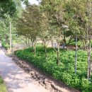 대구구암동고분군 팔거산성 탐방안내소 이미지