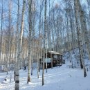 인재숲협동조합 이미지