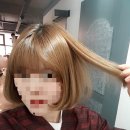 쏭헤어 이미지