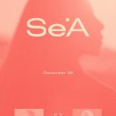 Se.A(세아)