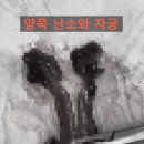 관문동물병원 이미지