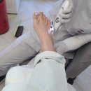 레푸스수성점 이미지