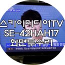 미디어스카이 이미지