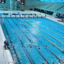 our fitness | 영국 런던 아쿠아틱스 센터 수영장 : 50m 런던 올림픽 수영장 자유수영 후기