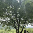 산골산장 이미지