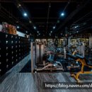 피그말리온짐 프리미엄 이미지