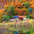 가송길(도산면) 이미지