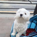 FM메디칼 이미지