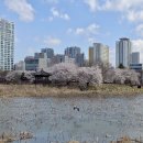 운천저수지 이미지