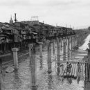1958년 청계천 수상가옥 이미지