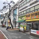 안경매니져 서부패밀리점 | 울산 동구 안경점 안경매니져 울산서부패밀리점 블루라이트 차단 안경 구매후기