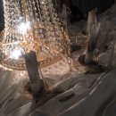 카페소셜