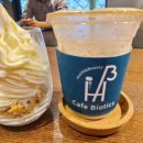 유산균 건강카페 이미지